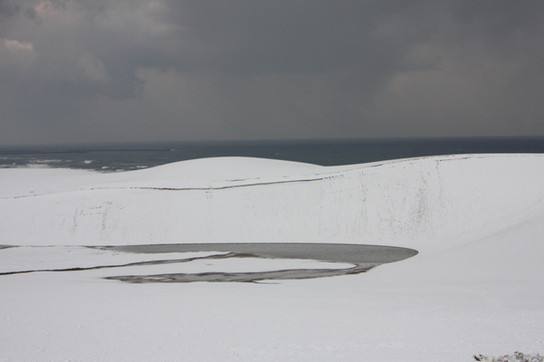 積雪の鳥取砂丘「馬の背」と”オアシス”