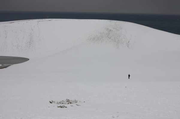 積雪の鳥取砂丘「馬の背」