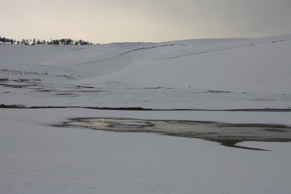 積雪の鳥取砂丘”オアシス”