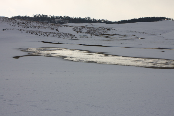 積雪の鳥取砂丘”オアシス”への水域