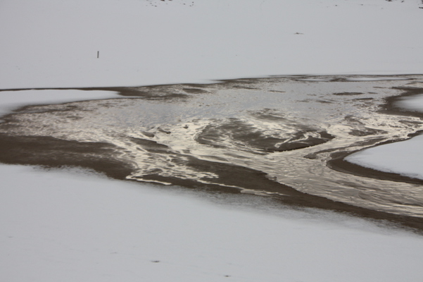 積雪の鳥取砂丘”オアシス”への流れ