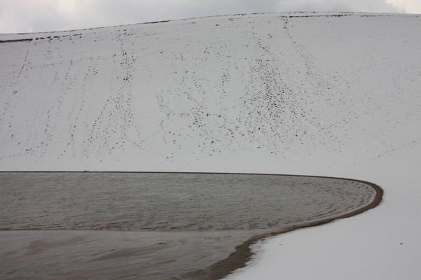 積雪の鳥取砂丘「馬の背」と”オアシス”