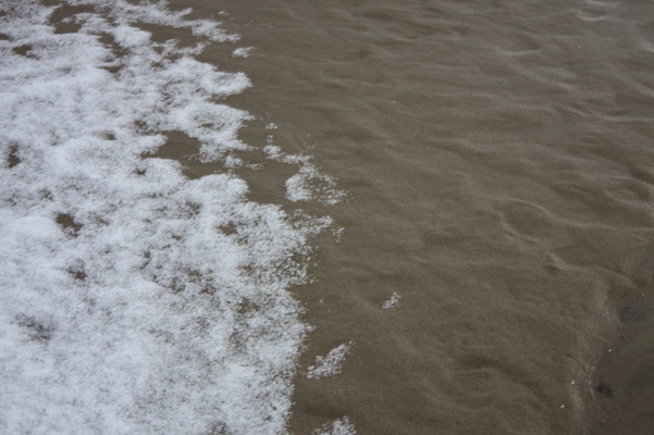 積雪の鳥取砂丘”オアシス”辺縁