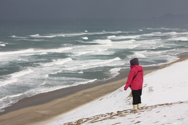 積雪の鳥取砂丘「馬の背」と白波
