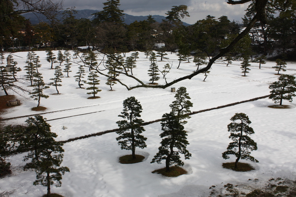 松江城「二之丸下段・中曲輪」の雪景色と松林