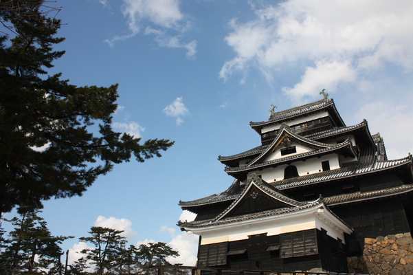 青空の松江城「天守閣」/癒し憩い画像データベース