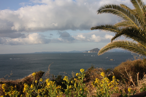 伊良湖岬と太平洋