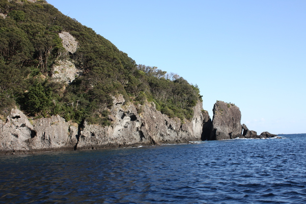 南伊豆「石廊崎岬巡り遊覧船」から見た断崖