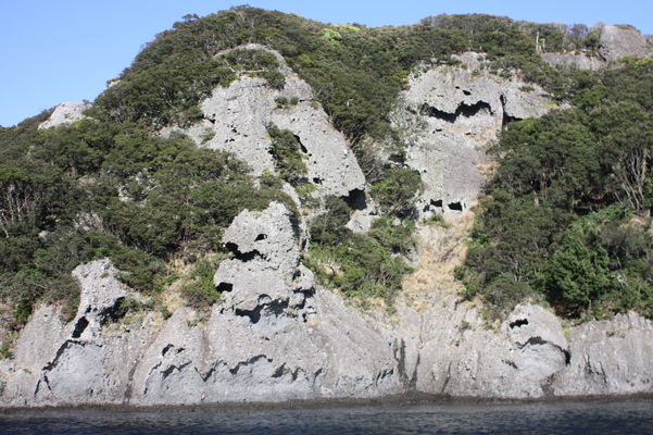 南伊豆「石廊崎岬巡り遊覧船」から見た断崖