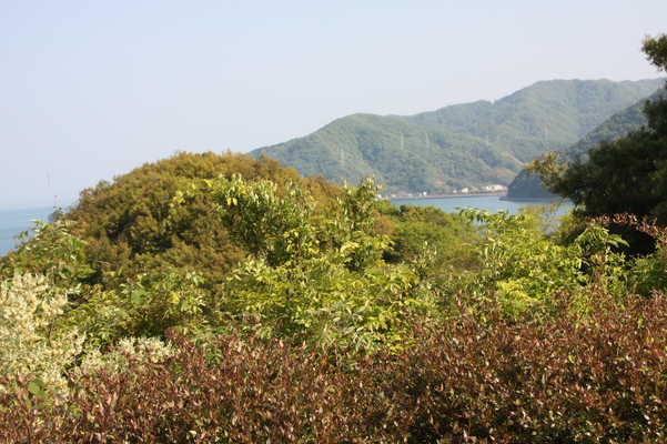 因島の森/癒し憩い画像データベース
