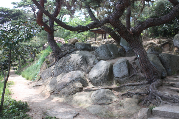 尾道・文学の細道脇の「岩と黒松」/癒し憩い画像データベース