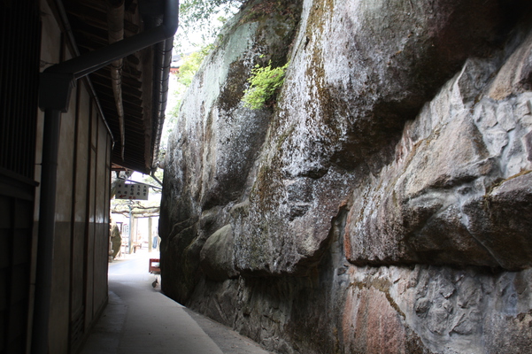 尾道「千光寺の岩壁」/癒し憩い画像データベース