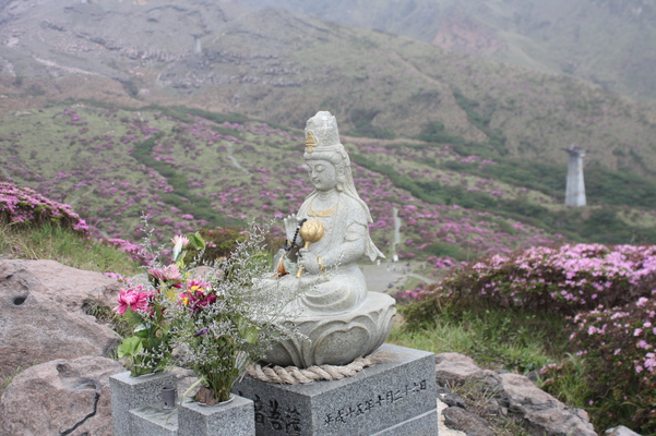 阿蘇仙酔峡の峠のミヤマキリシマ群落と仏像