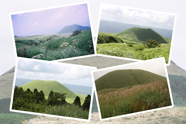 ���ɤ�����/�����Ƥ������ǡ����١���