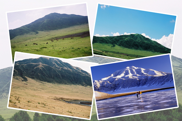 ���ɤα�˹�ҳ٤�����Τ/�����Ƥ������ǡ����١���