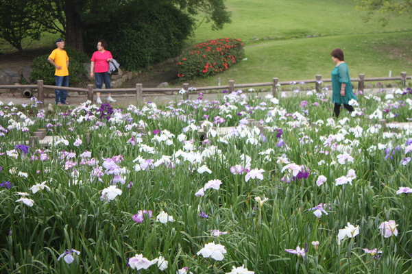 ֿҡ־Գʥϥʥ祦֡ˤȿ͡/Ƥǡ١