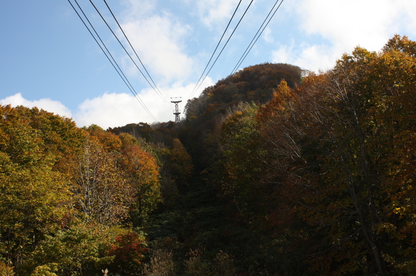 秋の八甲田山ロープウエイ/癒し憩い画像データベース