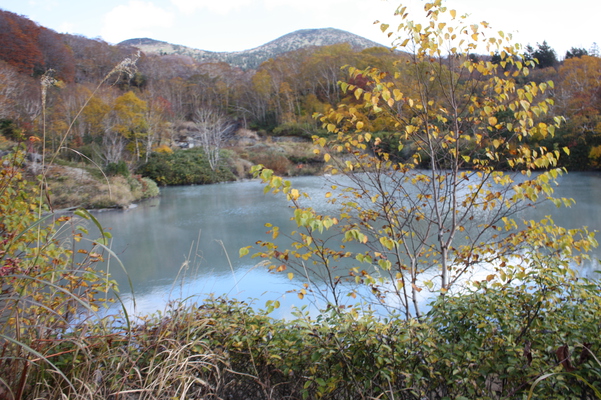 八甲田山麓の温泉沼（地獄沼）の秋景/癒し憩い画像データベース