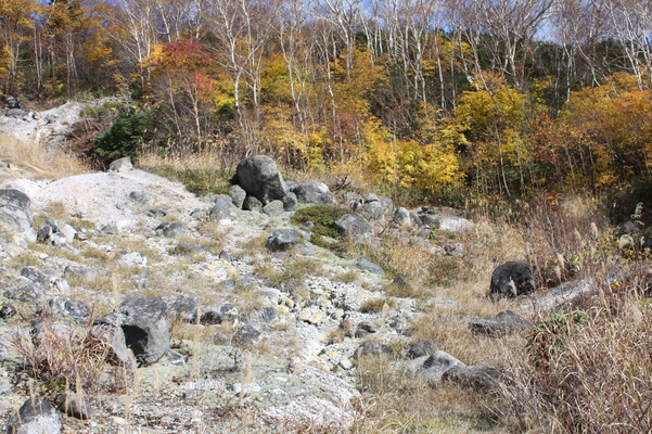八甲田山の麓の噴気孔跡