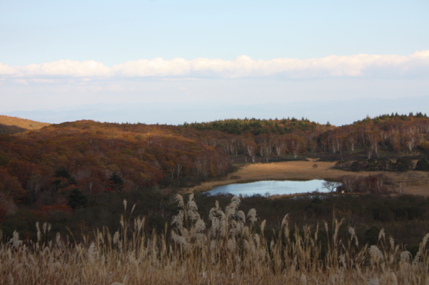 秋の八幡平「御在所沼」と湿原