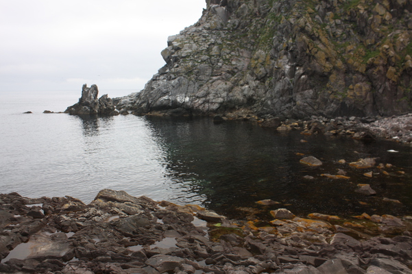 利尻島「ペシ岬海岸の断崖と岩場」/癒し憩い画像データベース