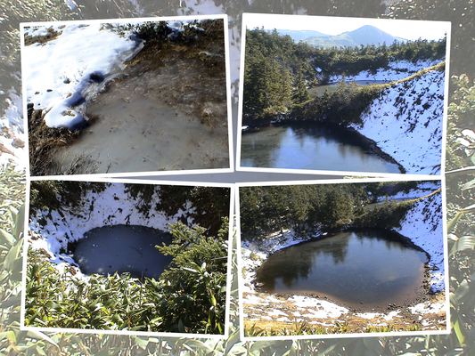 八幡平の「めがね沼」と周辺の小さい沼/癒し憩い画像データベース