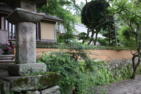 夏の富貴寺の土塀