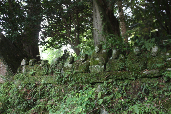 苔むす夏の富貴寺「石仏群」