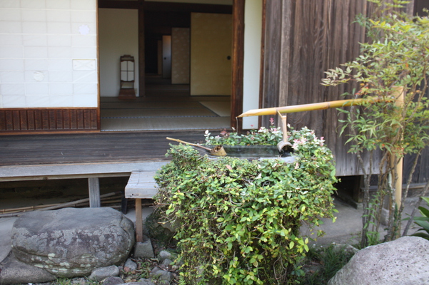 ���ۡ��縶š����ѡ�/�����Ƥ������ǡ����١���