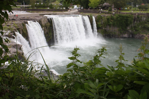 「原尻の滝」の瀑布と夏草