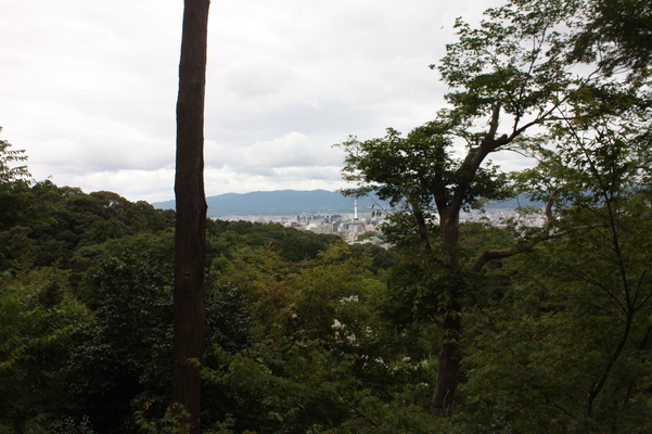 深緑の清水寺から見た京都市街