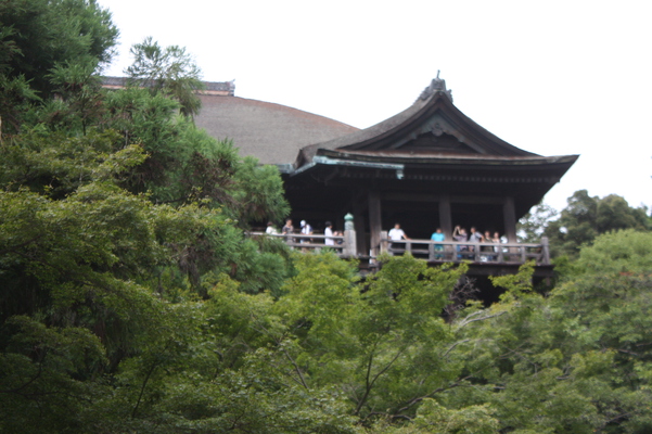 夏緑の京都・清水寺「本堂舞台」