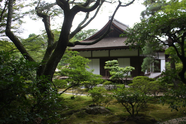 夏の銀閣寺「東求堂」と緑の庭園