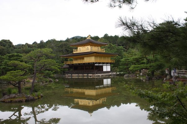 夏の金閣寺「鏡湖池」と逆さの「金閣」影/癒し憩い画像データベース
