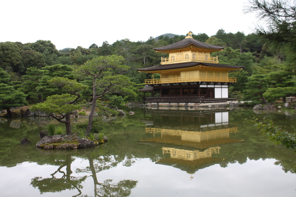 夏の金閣寺「鏡湖池」と逆さの「金閣」影