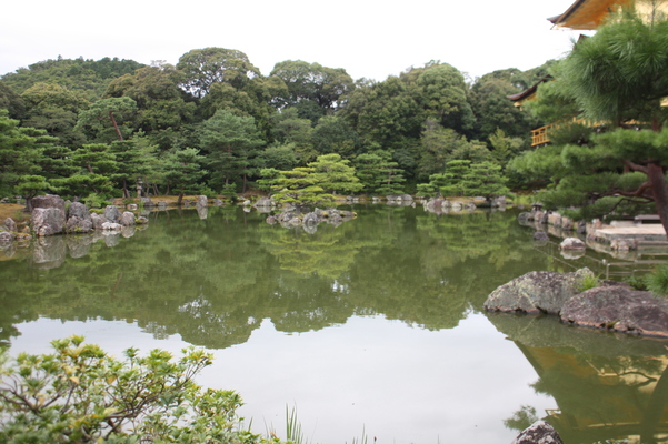 夏の金閣寺「鏡湖池」