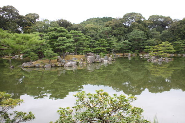 夏の金閣寺「鏡湖池」/癒し憩い画像データベース