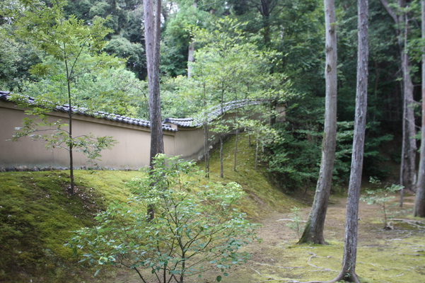 夏の金閣寺「土塀」/癒し憩い画像データベース