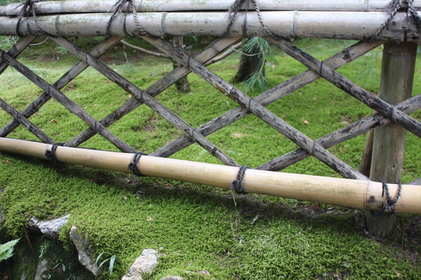 ���ԡ�ζ�»��Ρ�ζ�»�����/�����Ƥ������ǡ����١���