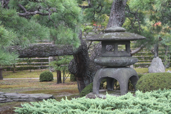 二条城「本丸庭園の灯籠と松」/癒し憩い画像データベース