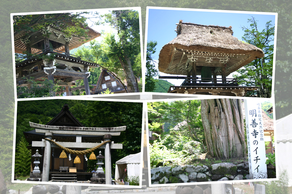 「白川郷」の寺社の夏景色