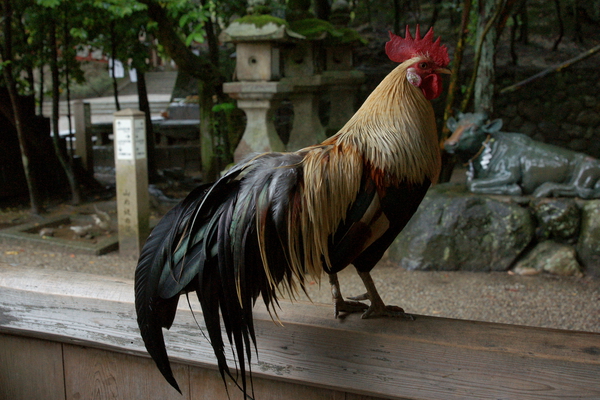 ���о���ܡפ���Ĺ�ܡʿ��ܡ�/�����Ƥ������ǡ����١���