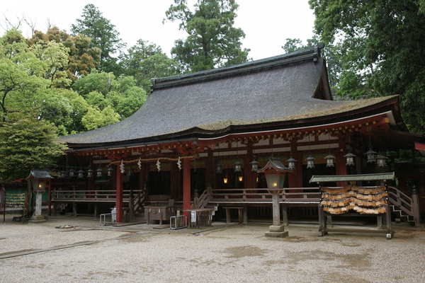 �о���ܡ����¡ʹ���)��/�����Ƥ������ǡ����١���