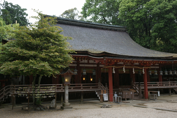 �о���ܡ����¡�/�����Ƥ������ǡ����١���