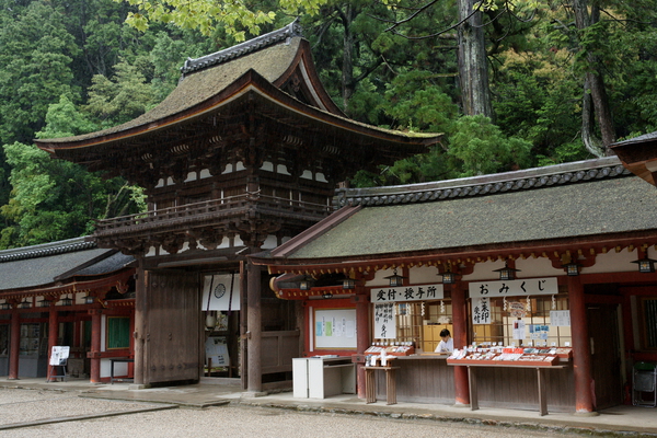 ���ɡ��о���ܤ�ϰ���/�����Ƥ������ǡ����١���