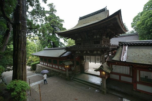 �о���ܡּФᤫ�鸫��ϰ��Ȳ�ϭ��/�����Ƥ������ǡ����١���