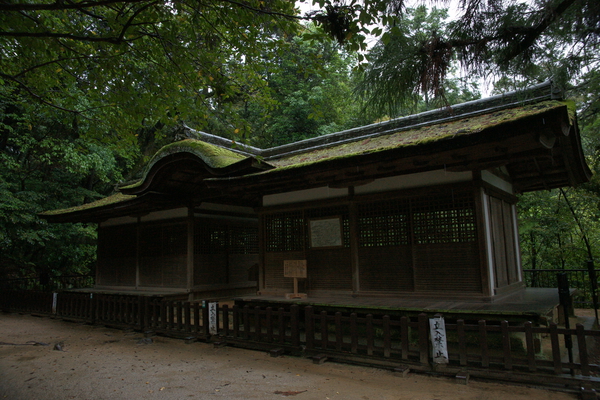 �о���ܤΡ��ݼҽб���ͺ���� ���¡ʹ���)��/�����Ƥ������ǡ����١���