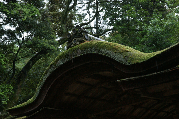 �о���ܡ��ݼ����¤ؤ��ݤष��������¤���/�����Ƥ������ǡ����١���