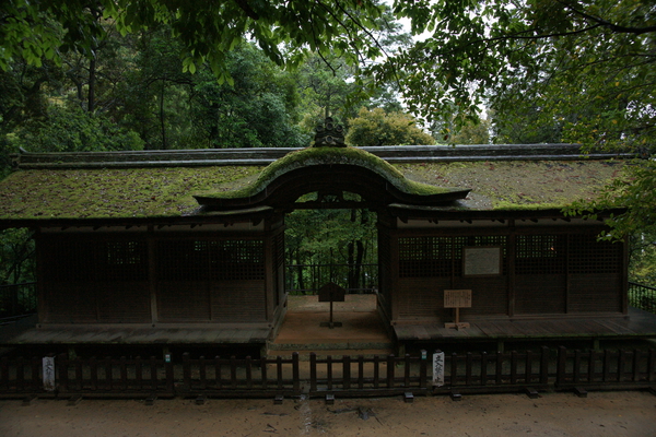 �о���ܤΡ��ݼҽб���ͺ���� ���¡ʹ���)��/�����Ƥ������ǡ����١���