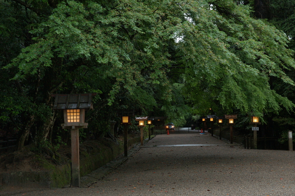 �о���ܡֻ�ƻ�ˤʤ�־�������/�����Ƥ������ǡ����١���